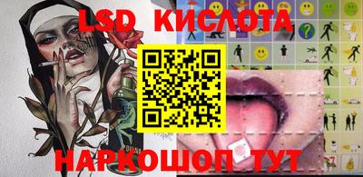 индика Ярославль
