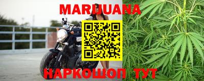 индика Ярославль