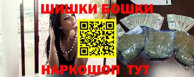 индика Ярославль