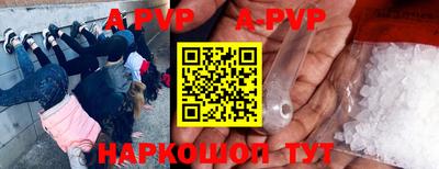 индика Ярославль
