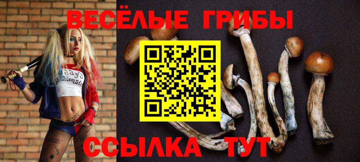 Галлюциногенные грибы Cubensis  Вход с VPN  Белореченск 